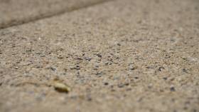 Тротуарная плитка Готика Веер Granite 60мм